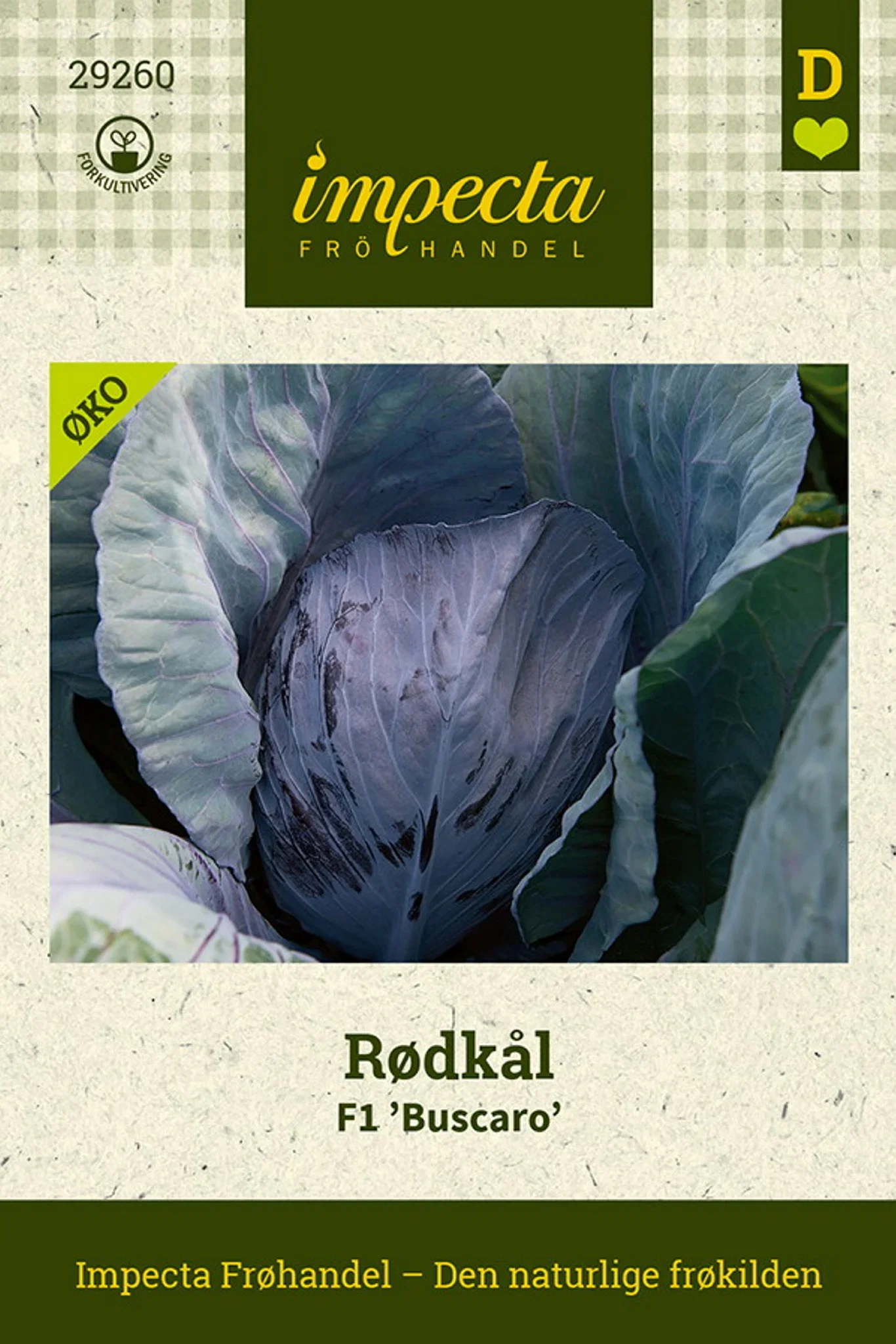 Brassica oleracea F1 'Buscaro' Rødkål F1 'Buscaro'