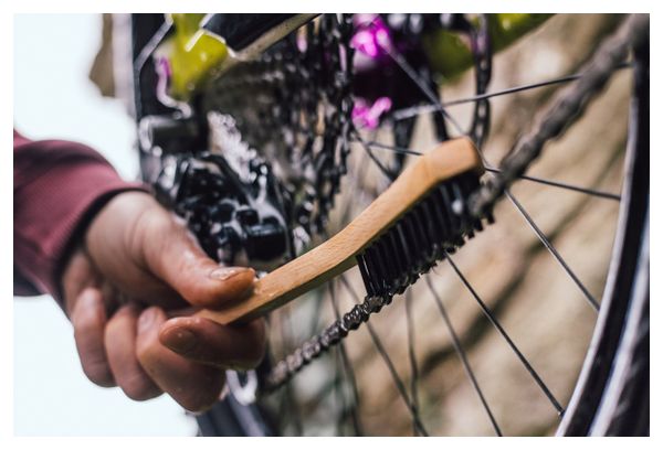 Brosse Peaty’s Drivetrain Brush pour Transmission