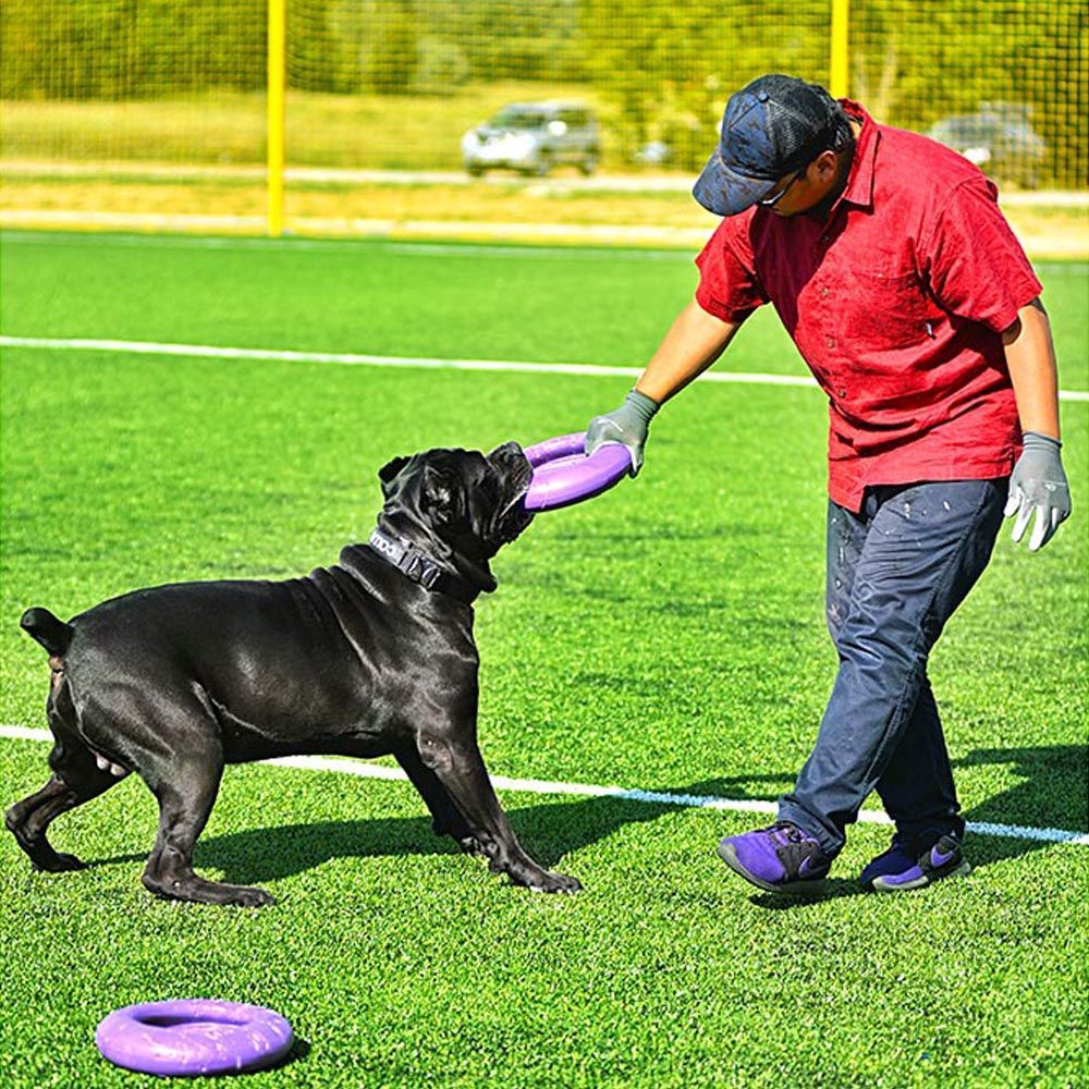 Jouet interactif pour chiens grands puller maxi 1 bague, entraînement, course, saut, tir, spring pole, non toxique