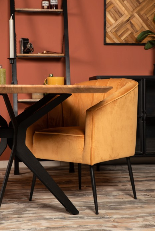 Eetkamerstoel Sanne Fauteuil Sanne Groen