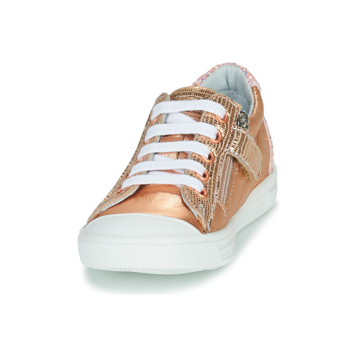 GBB - MATIA - Rose