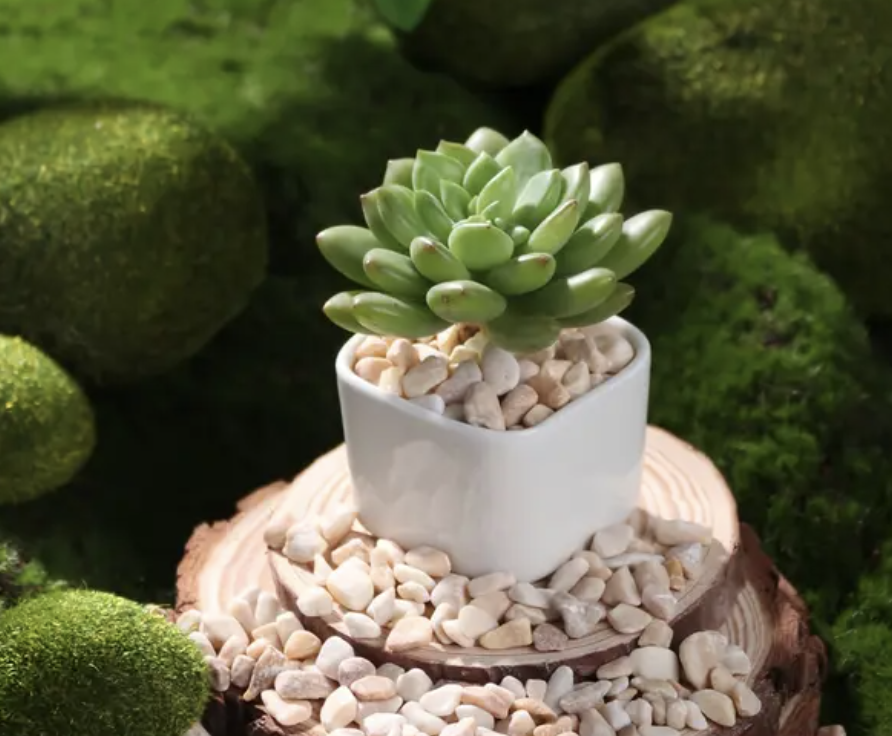 (100g) 6-8mm Marmor Steine Mini Kieselsteine für Home / Garten / Aquarium Deko - Beige