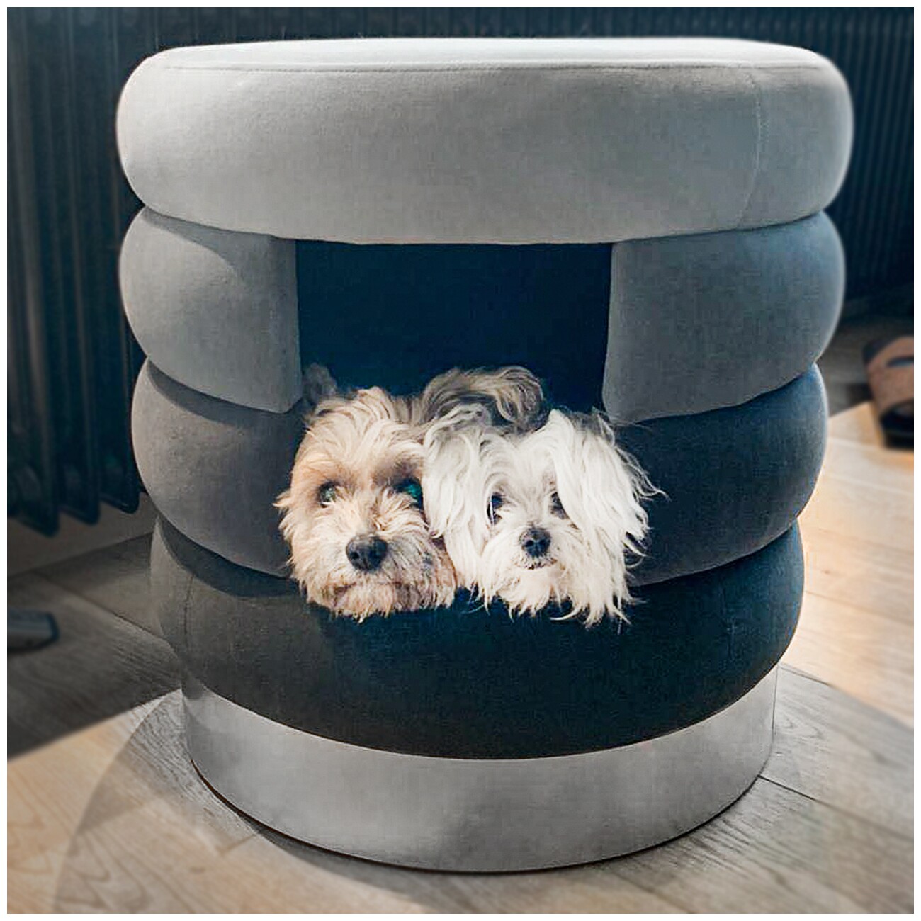Canadian Cat Company Hundebett Choupette grau