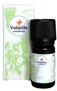 Volatile Eucalyptus Biologische Olie 10ML