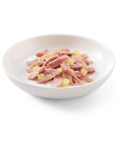Schesir Kat Blik Gelei 75 g - Kattenvoer