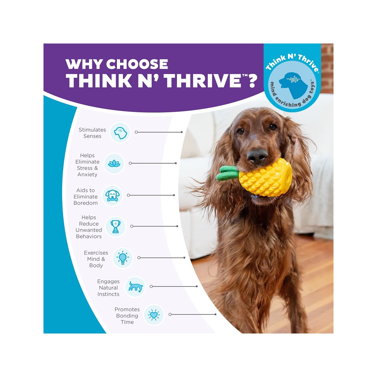 Planet Dog Dental Hundespielzeug