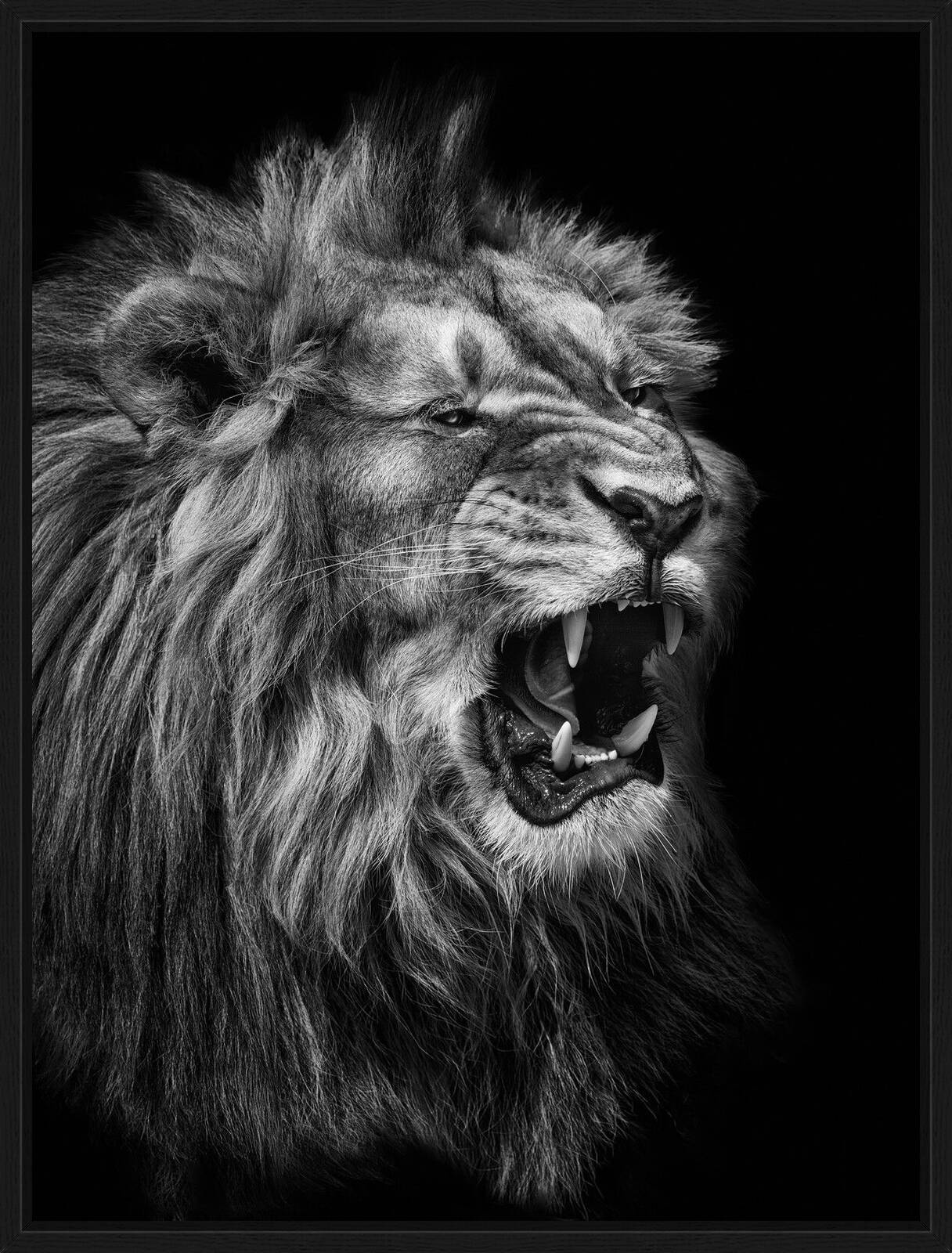 Lion by Mikhail Kirakosyan - Limited Edition. Edition of: 150. Signed.