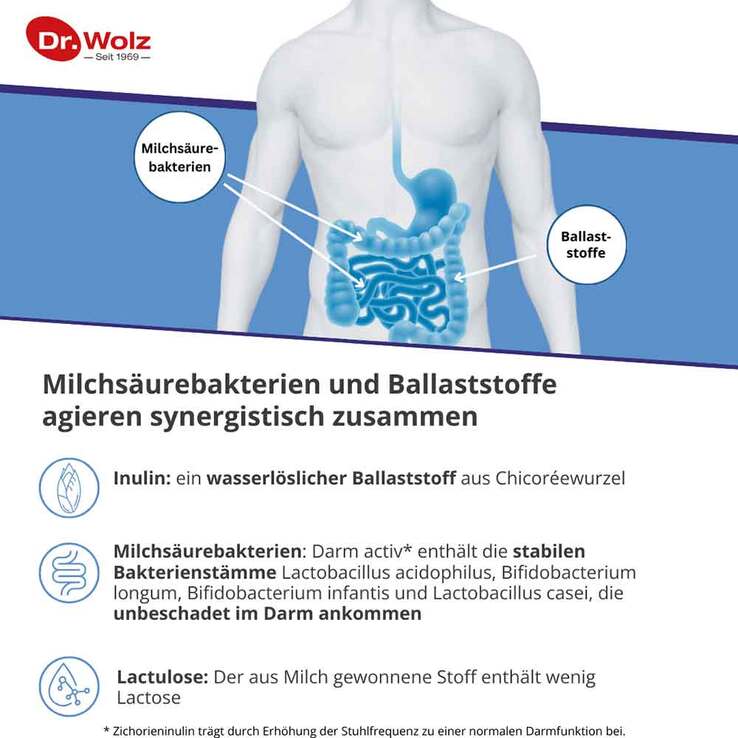 Darm Activ Dr. Wolz Pulver, 209 g