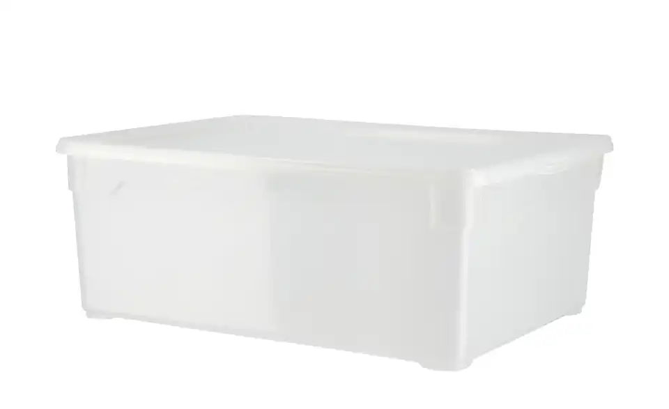 Rotho Aufbewahrungsbox, 3er Set