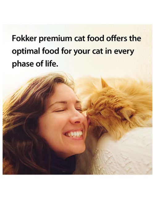 Fokker Cat Maxi-Bite - Kattenvoer