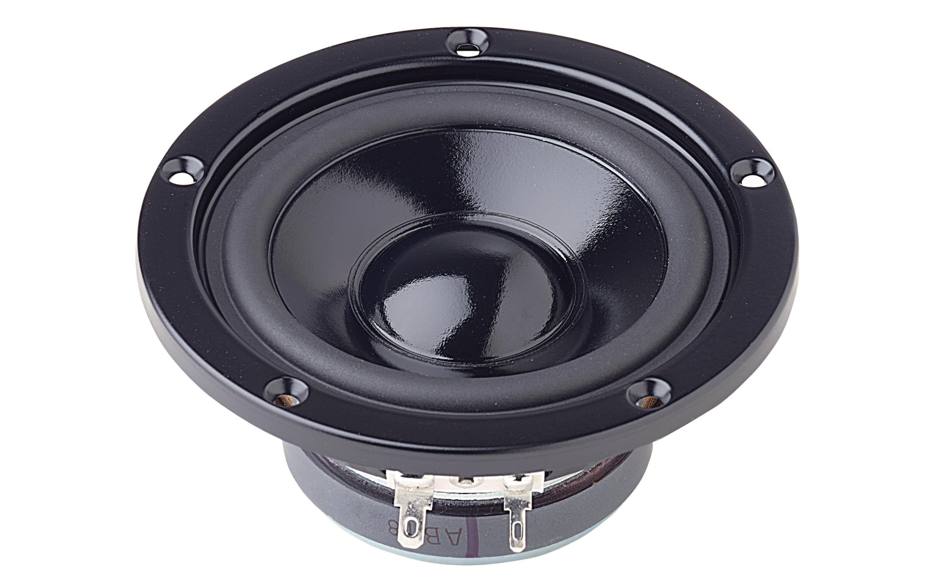 HiFi-Tiefmitteltöner W 100 S4