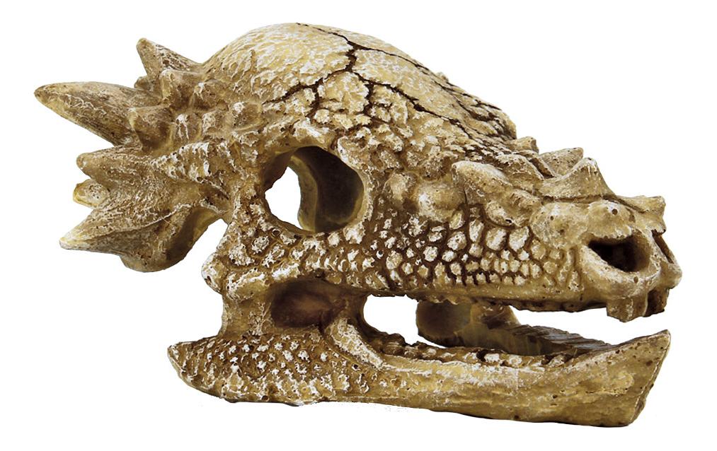 Dekoration Schädel T-Rex MDekorativer prähistorischer Schädel