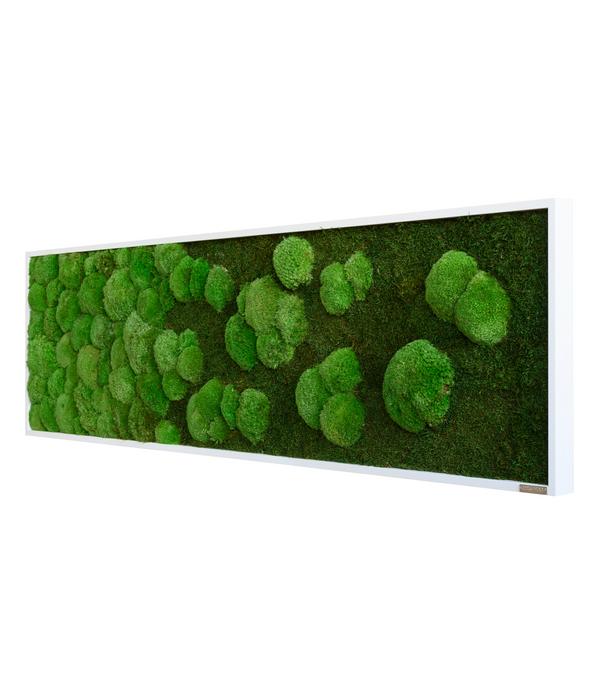styleGREEN Bild aus Wald- und Kugelmoos im