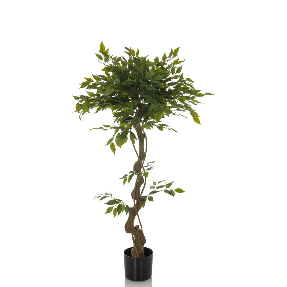 Kunstpflanze FICUS I Kunststoff, Stoff hjh OFFICE