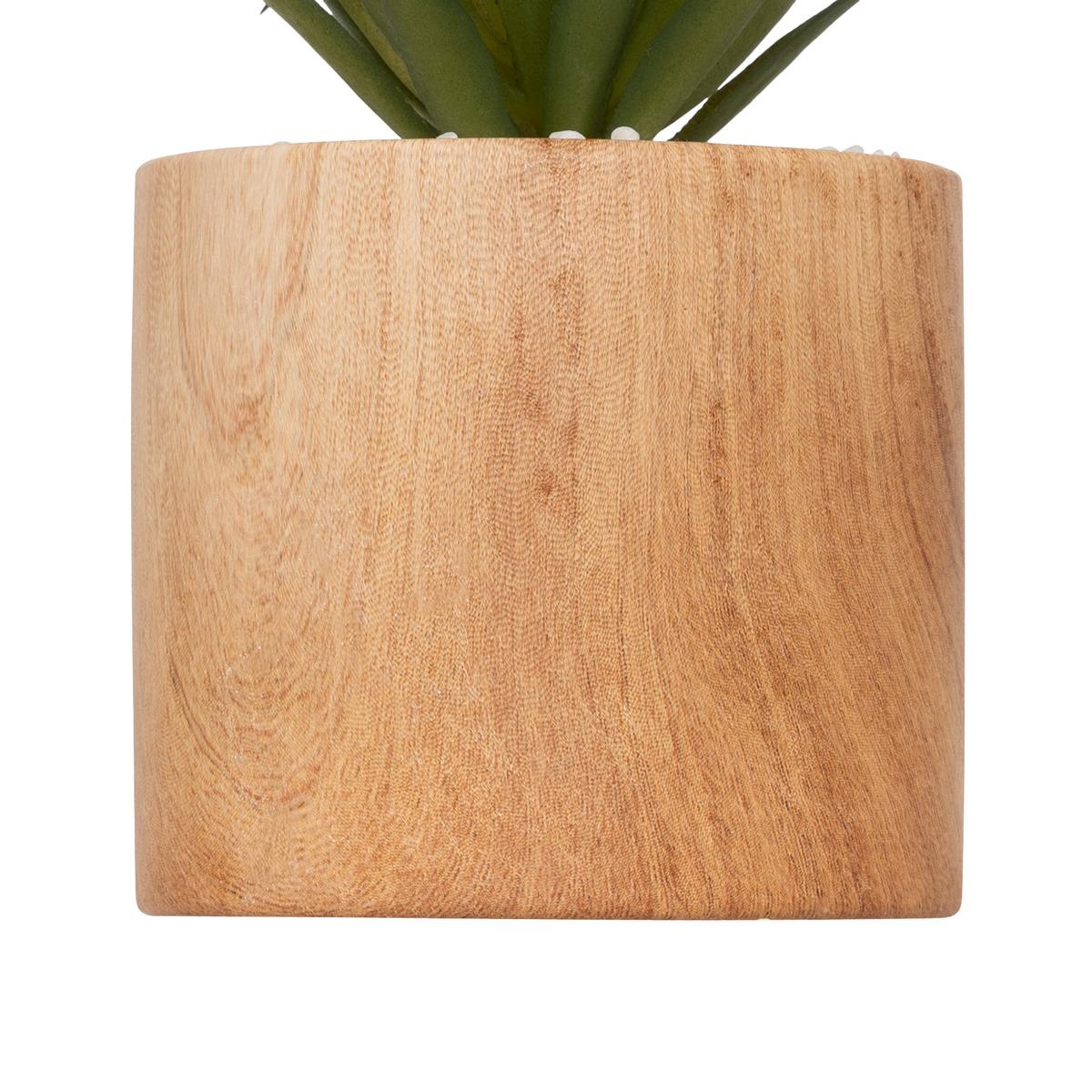 PLANTE VERRE POT CERAMIQUE BOIS SAO H.17.5CM