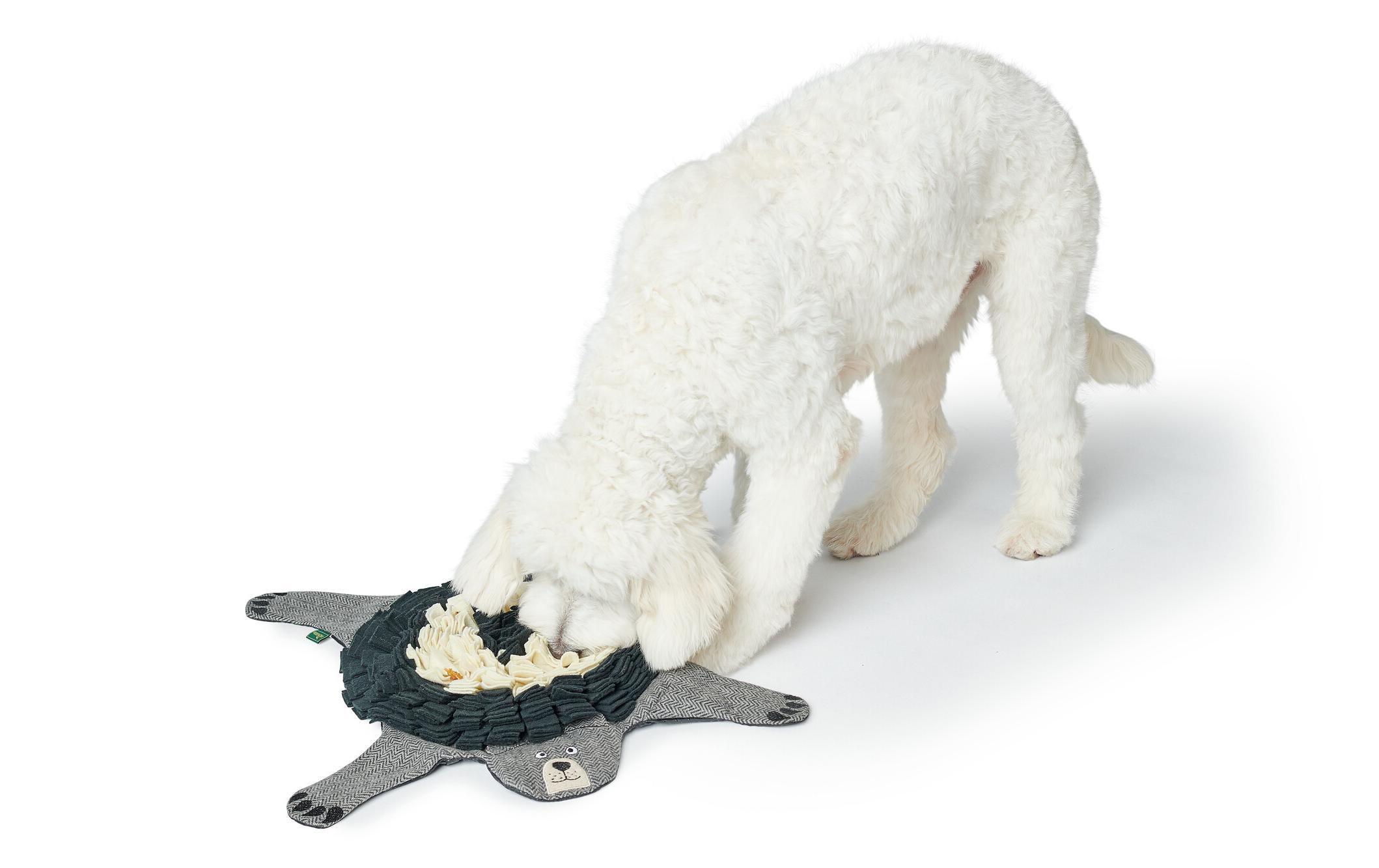 Hunde-Spielzeug Billund Bär Schnüffelteppich, 75 x 75 cmHundespielzeug