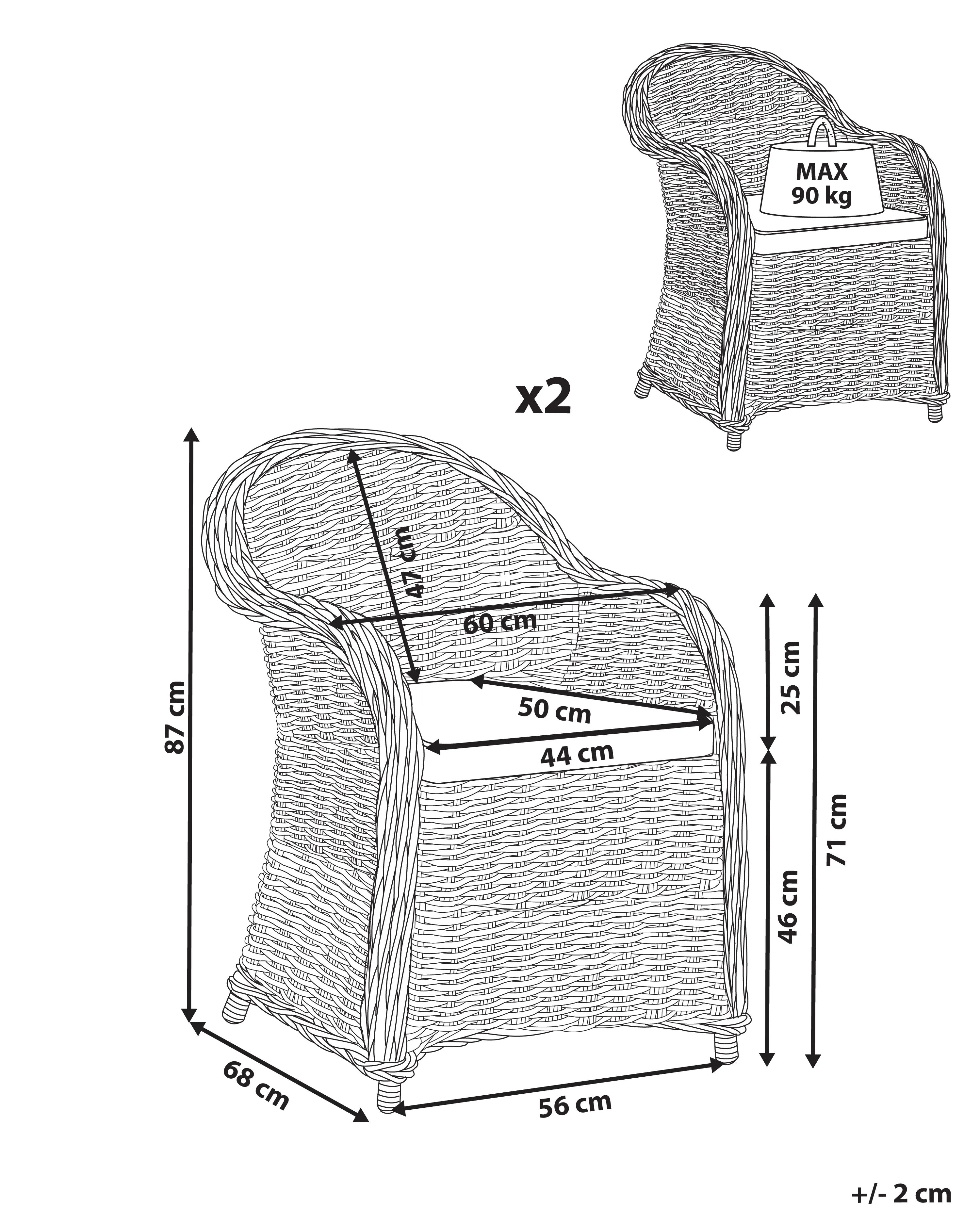 Tuinstoel set van 2 rotan naturel SUSUA II