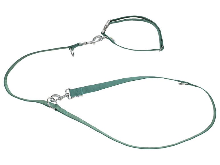 Hondenhalsband en riem