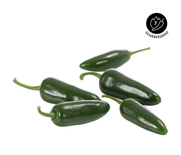 Chili 'Jalapeño'