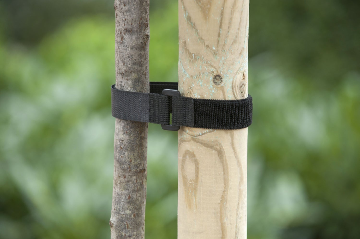 Nature boomband met klittenband en gesp 40 x 2,5cm 2 stuks