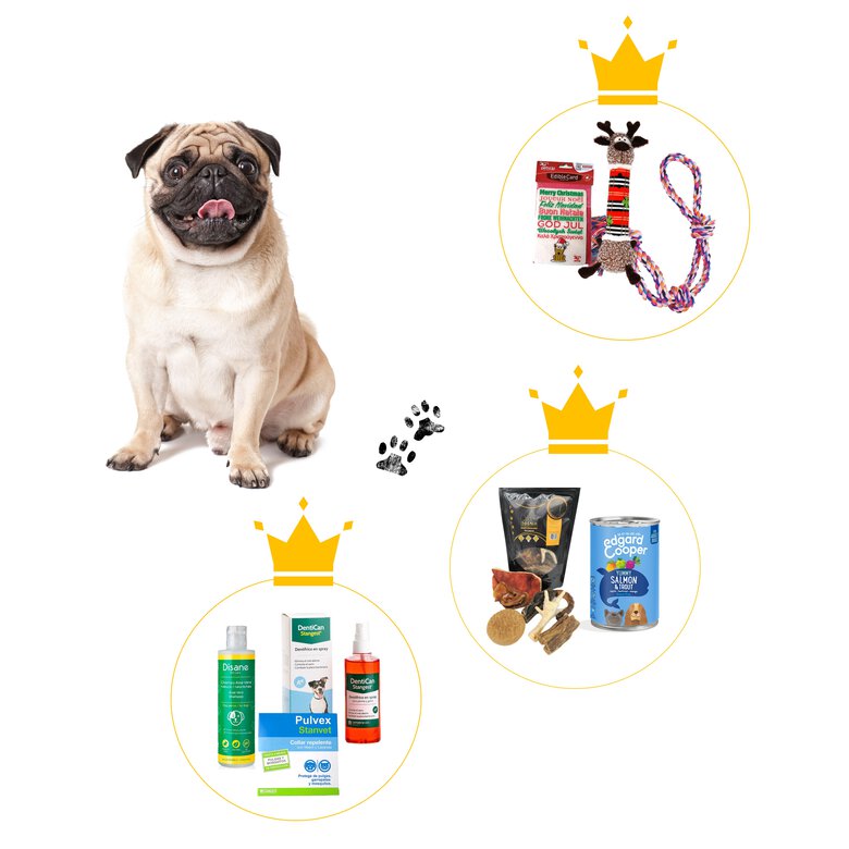 Cesta de Natal da Petground para cães