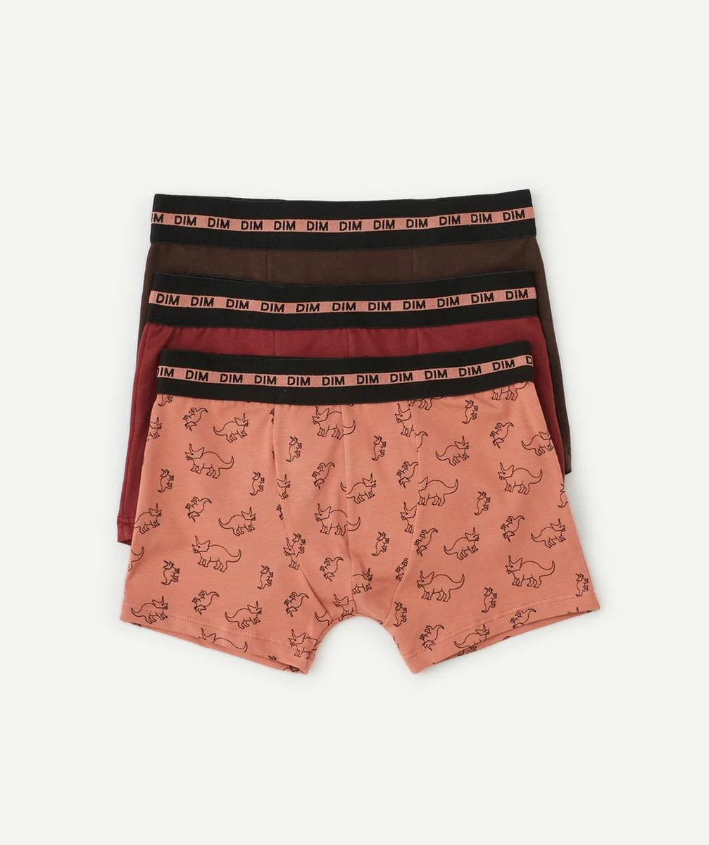 DIMLOT DE 3 BOXERS FASHION COTON STRETCH BORDEAU ET IMPRIMÉ DINOSAURE