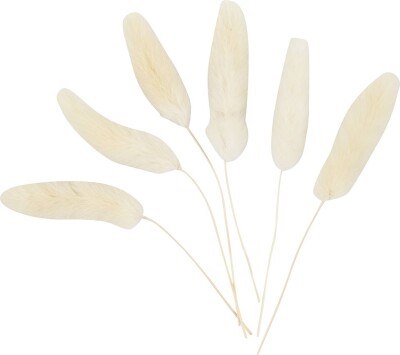 Harehale - L 3-7 CM - 6 Stk