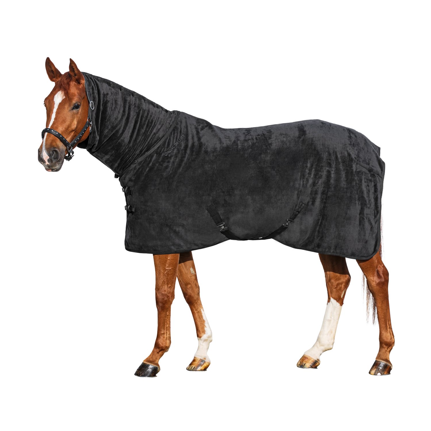 Cheval de Luxe Abschwitzdecke Full-Neck  - schwarz