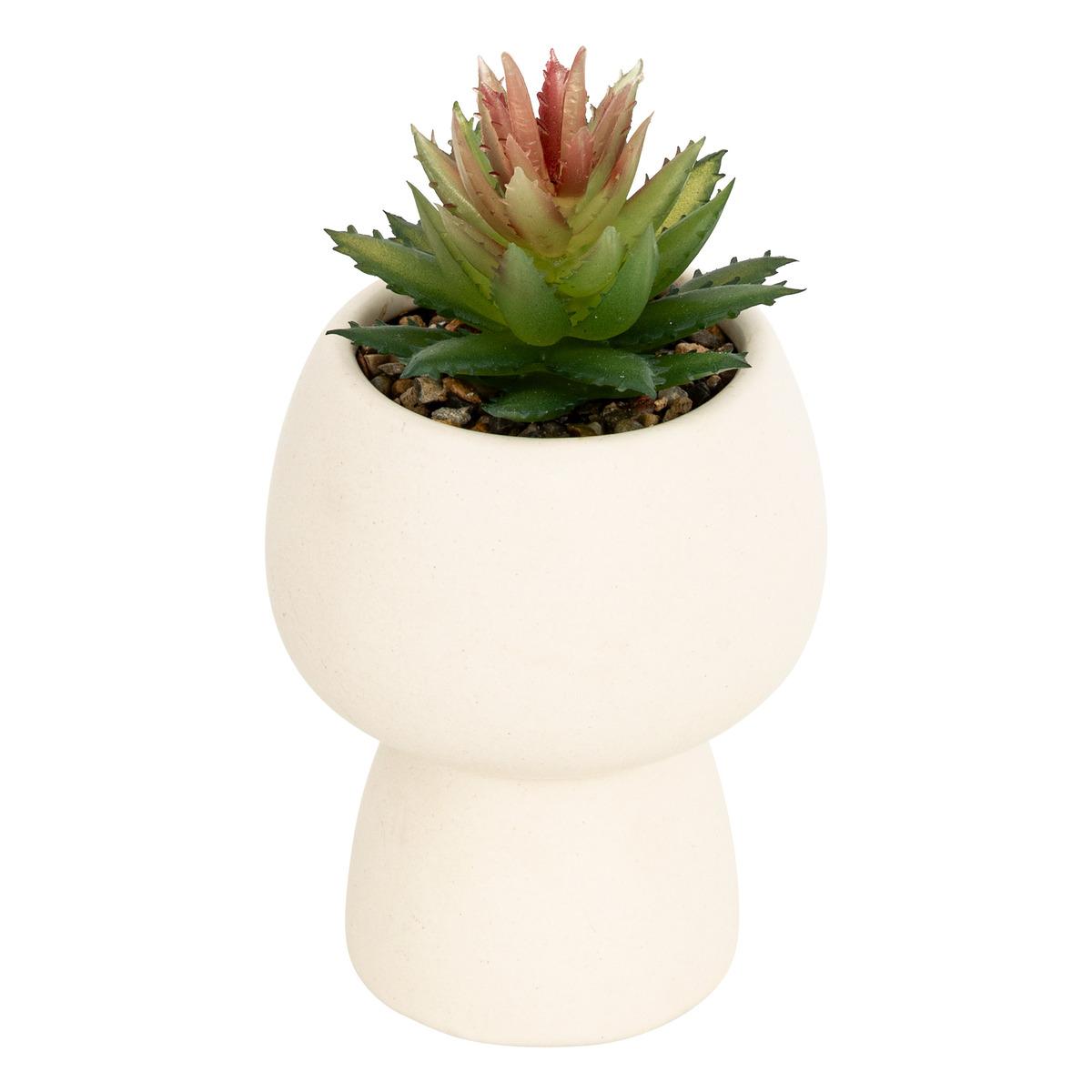 PLANTE GRASSE LIVY POT CERAMIQUE H.17CM