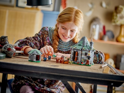 LEGO Hagrids huisje: onverwacht bezoek (76428)
