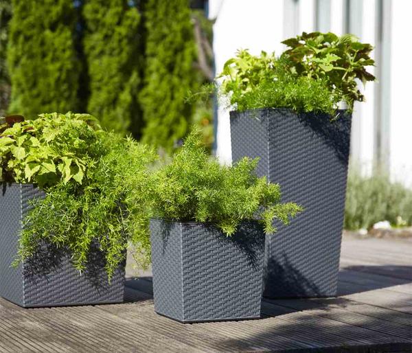 Siena Garden Kunststoff-Säule ECO Nizza,