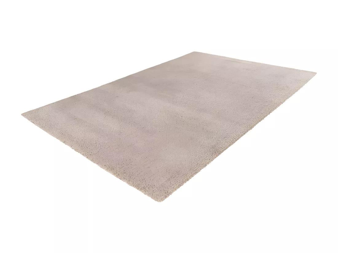 Tapis 170x120cm, design D005M coloris beige - Confort et élégance pour votre intérieur