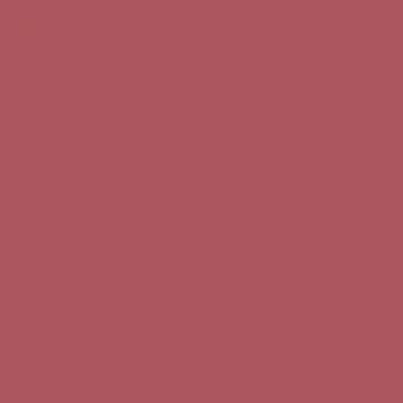 Wonderskin 360 Contour Lip Liner 1,2 gr. - Rosewood