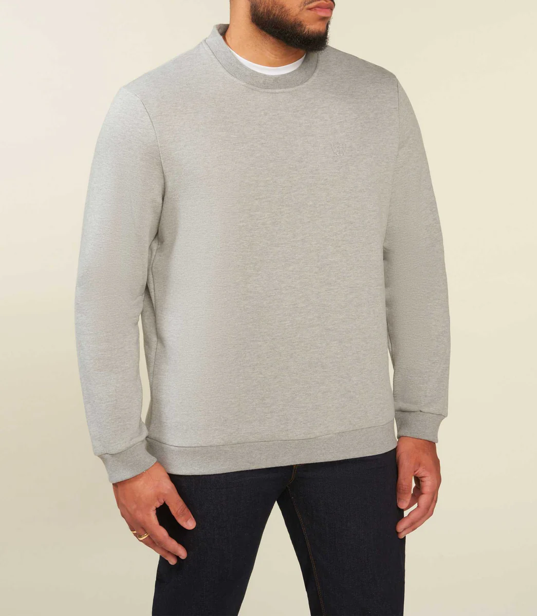 Sweat uni col rond gris chiné SWBENJIBT