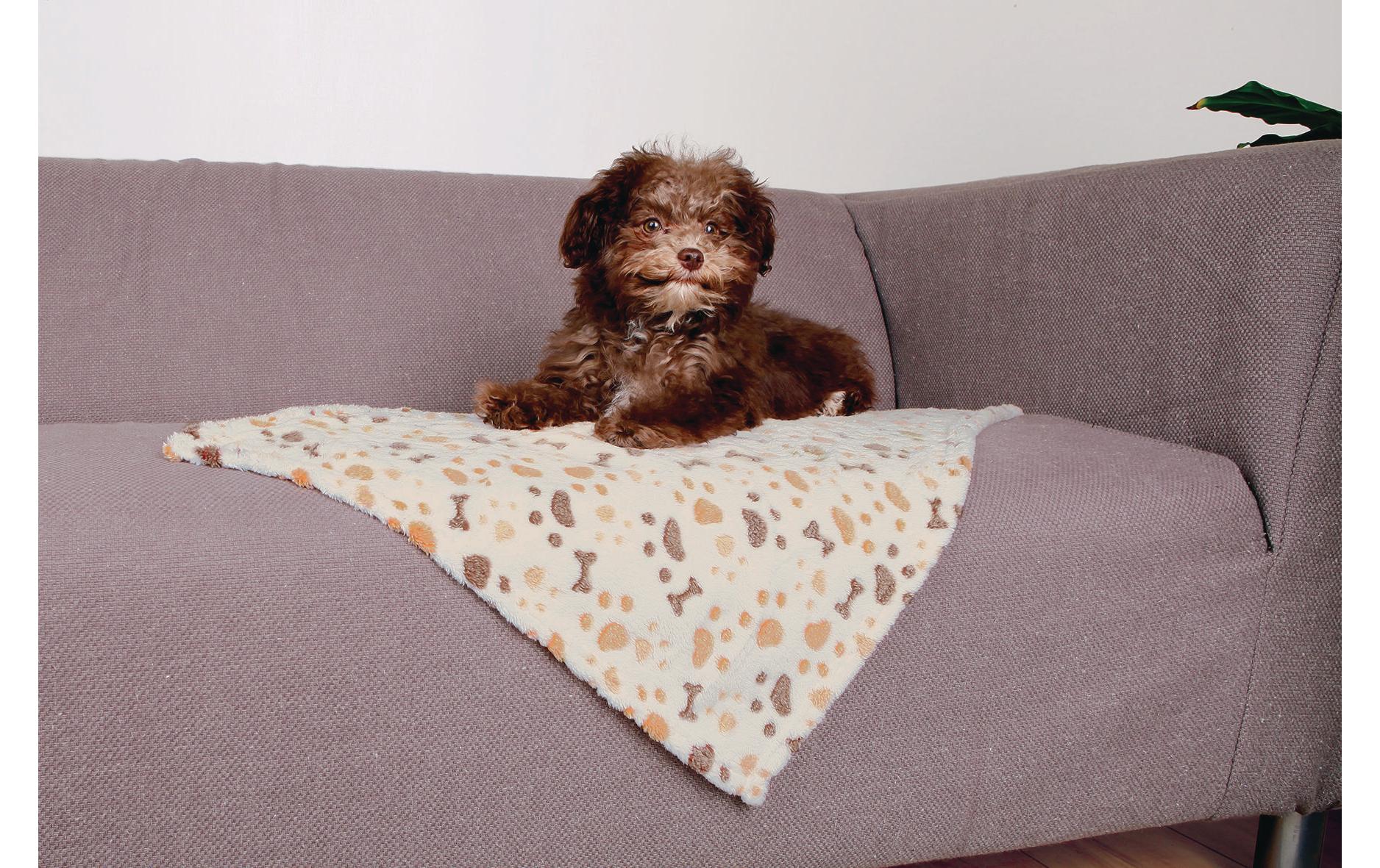 Hunde-Decke Lingo 75 x 50 cmWeiche Hundedecke