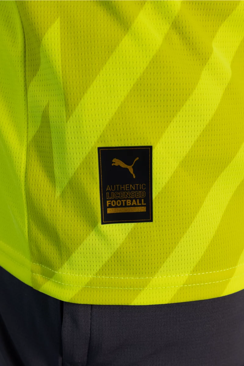 Puma Schweiz Replica Herren Torwarttrikot EM 2024 gelb
