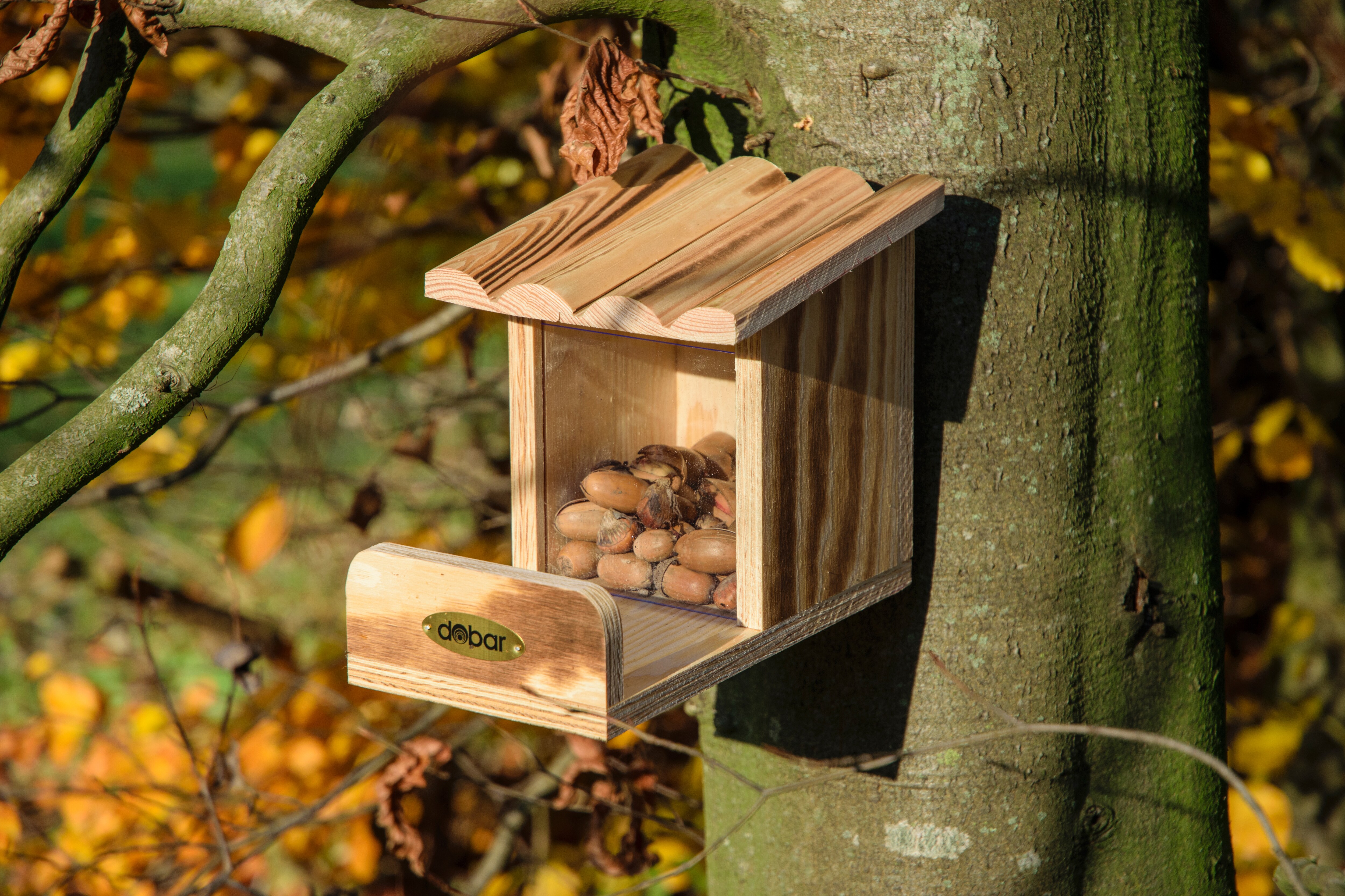 Eichhörnchen-Futterstation mit Futtersilo, Futterstelle aus Holz