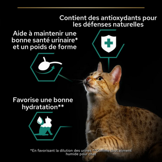 Boîtes pour chats Pro Plan Adulte Sterilised Saumon et Thon