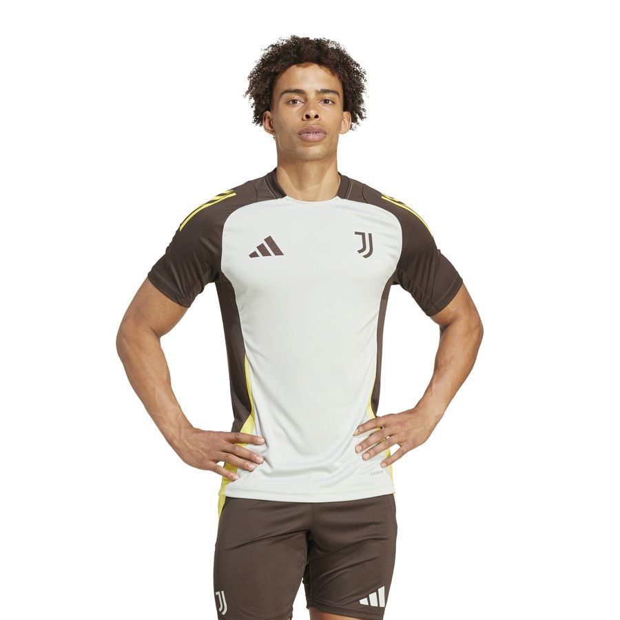 Juventus T-shirt d'Entraînement Tiro 24 EU - Argenté