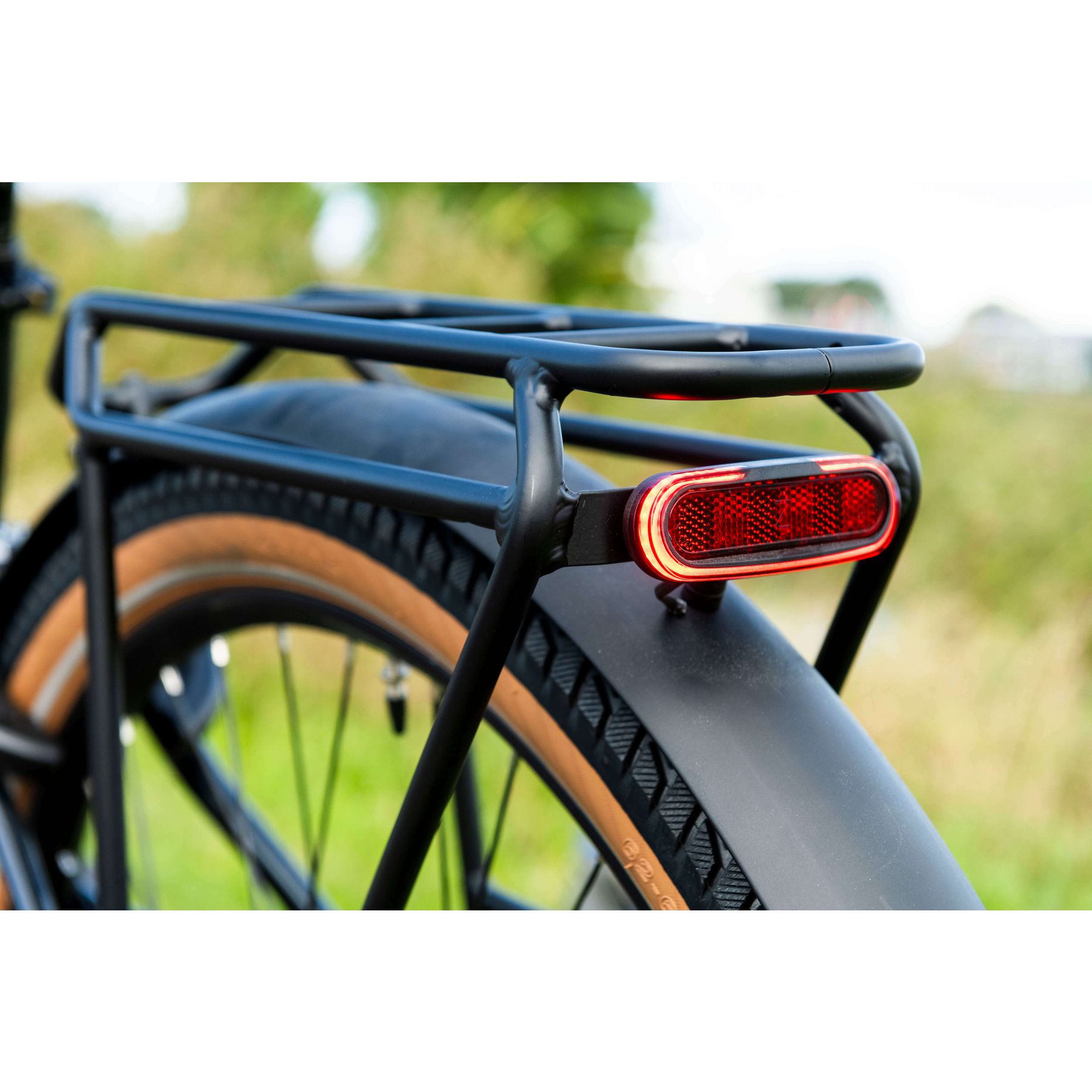 Pegasus Savino EVO 5F Lite Belt