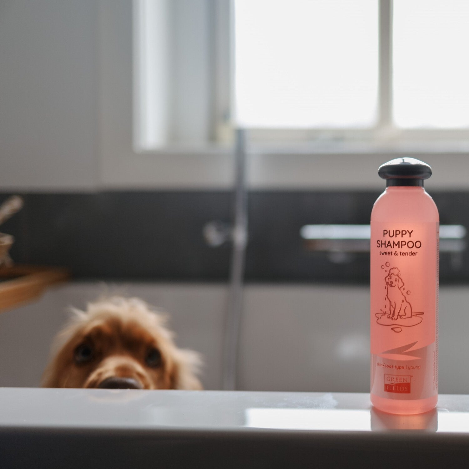 Greenfields hondenshampoo puppy 270 ml