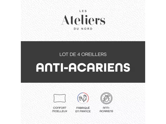 Lot de 4 oreillers moelleux Anti-acariens 60x60cm
