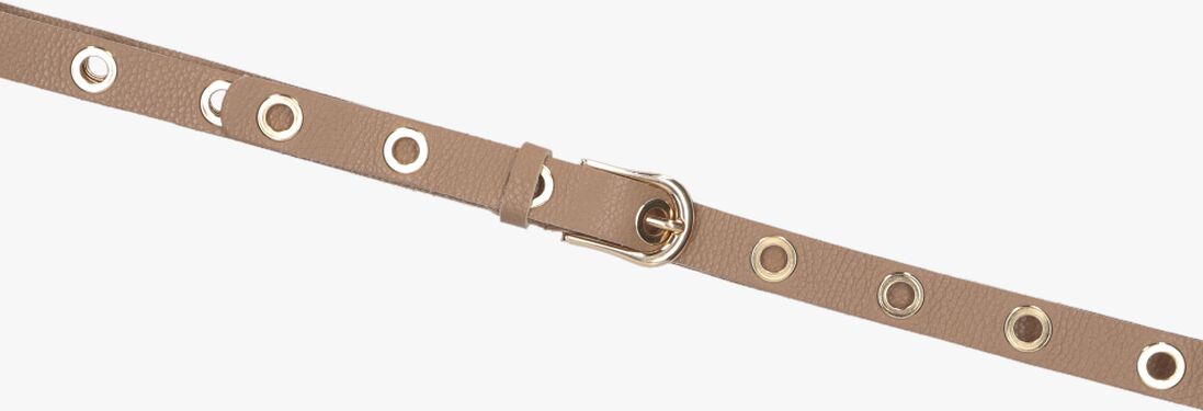 NOTRE-V camel notre-v riem avery