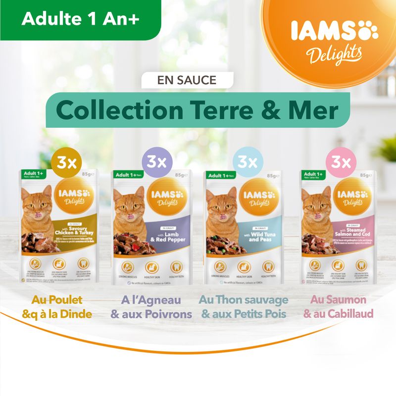 IAMS Delights Adult en sauce 12 x 85 g