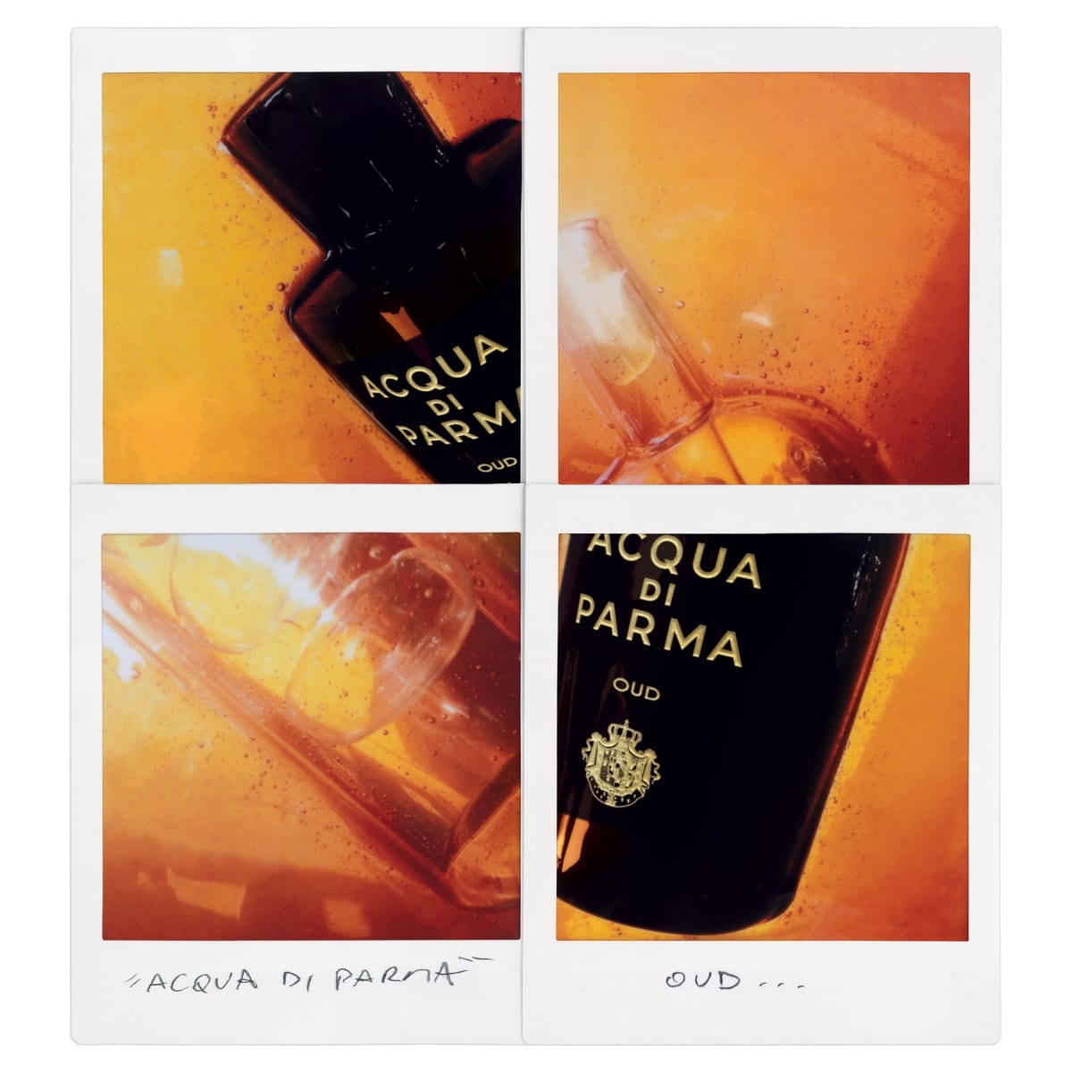 ACQUA DI PARMA Signature Oud Eau de Parfum