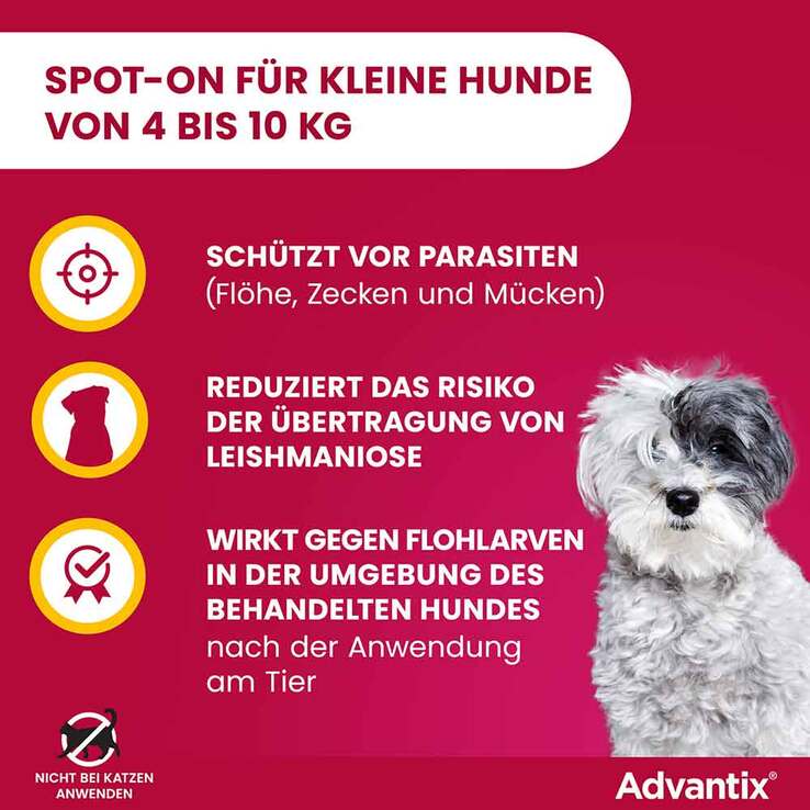 Advantix Spot-on Hund 4 - 10 kg Lösung, 4 St