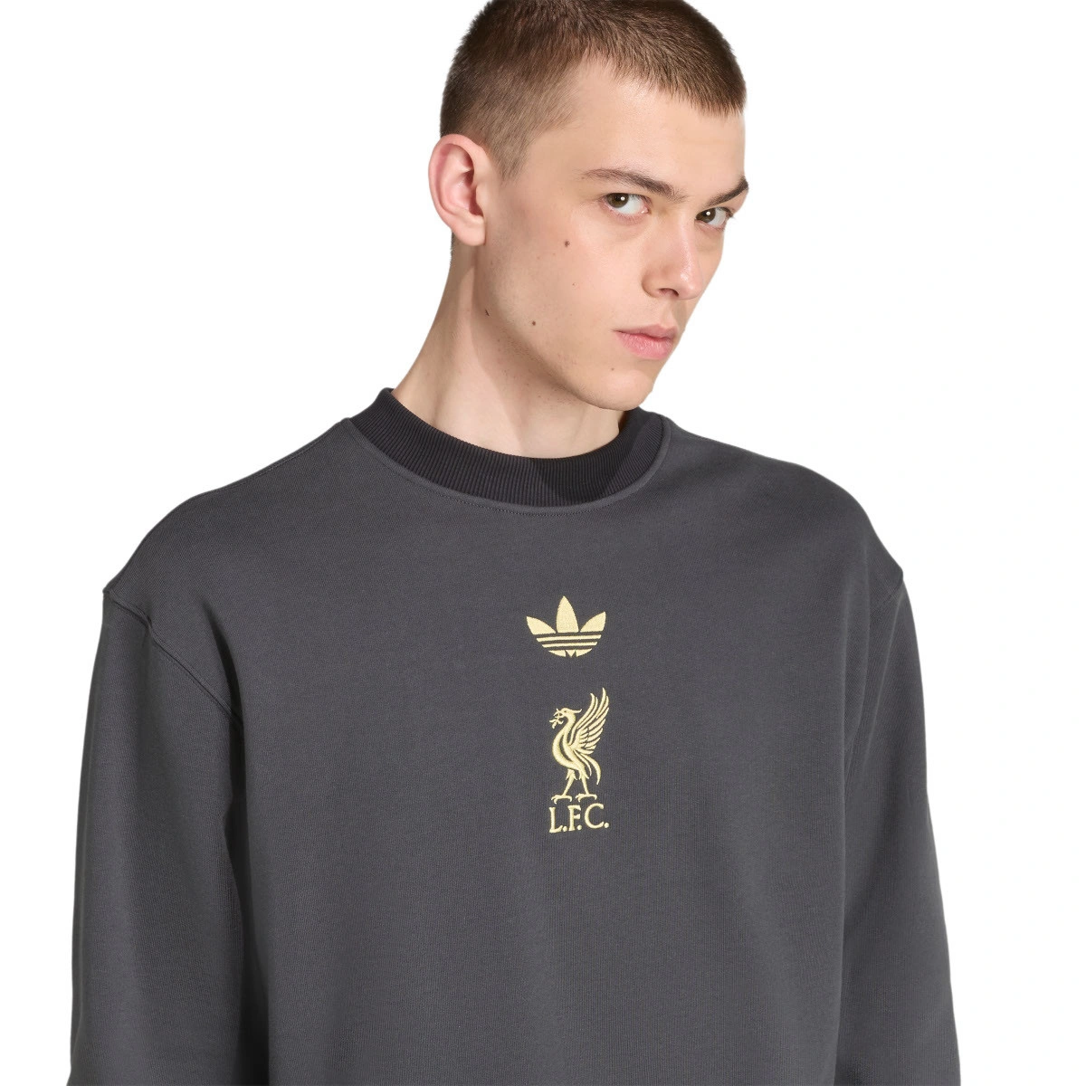Sweatshirt adidas Liverpool Fc Lifestyler Fanswear 2025-2026