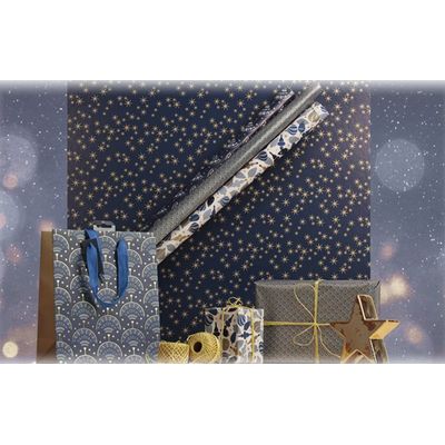 Clairefontaine Excellia Christmas - Papier cadeau - 70 cm x 2 m - différents modèles disponibles (nuit étoilée)