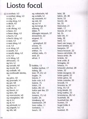 Everyday Words in Irish (Paperback)