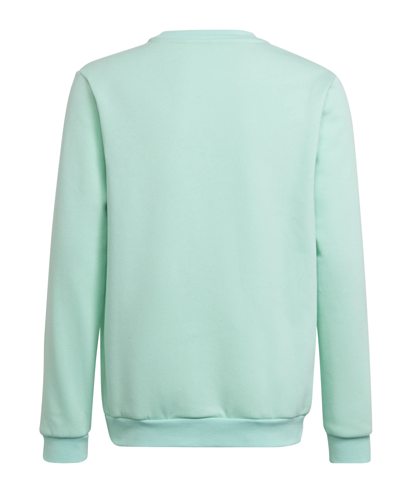 adidas Entrada 22 Sweatshirt Kids Türkis